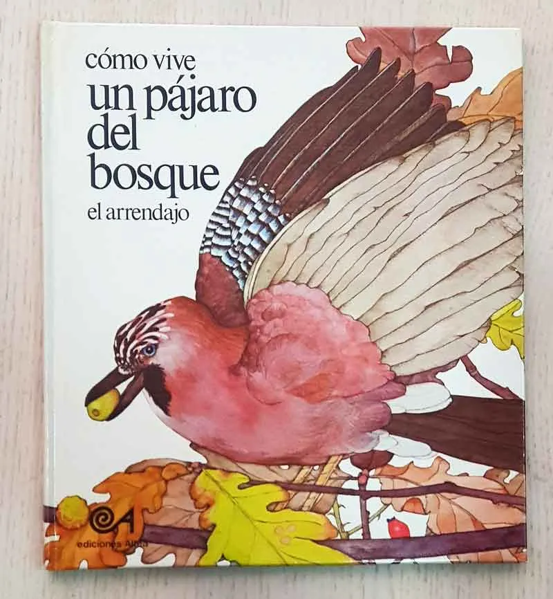 Como vive un pajaro del bosque.El arrendajo
