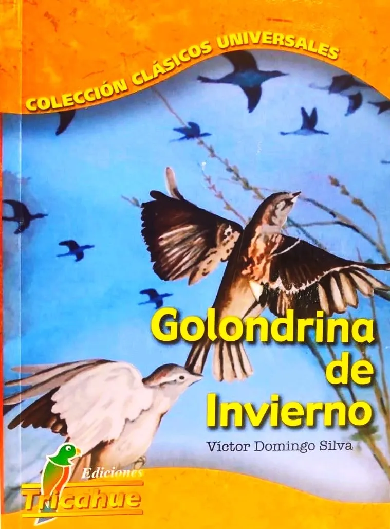 Golondrina de Invierno cover