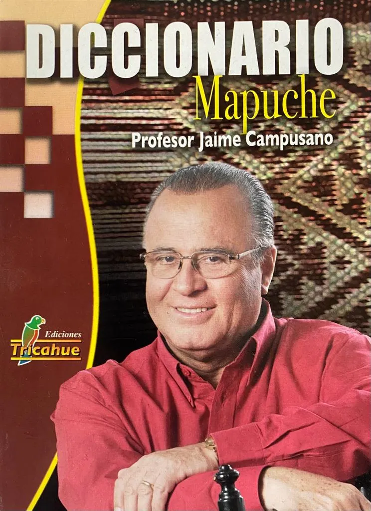 Diccionario Mapuche cover