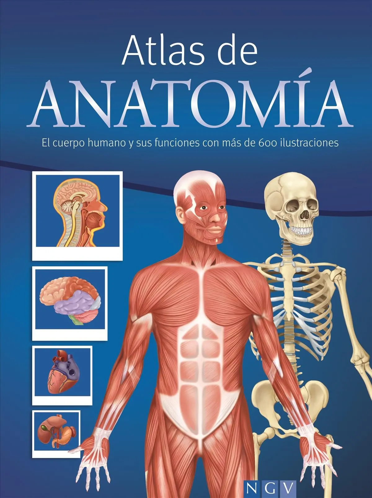Atlas de anatomía: el cuerpo y la salud cover