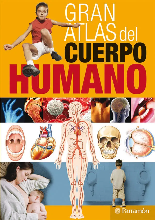 Gran Atlas de la Ciencia / Cuerpo Humano II