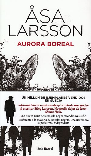Aurora boreal cover