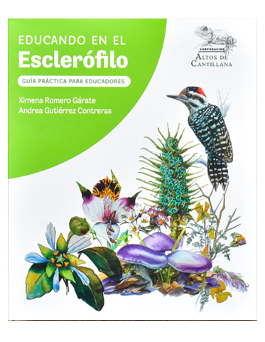 Educando en el esclerófilo cover