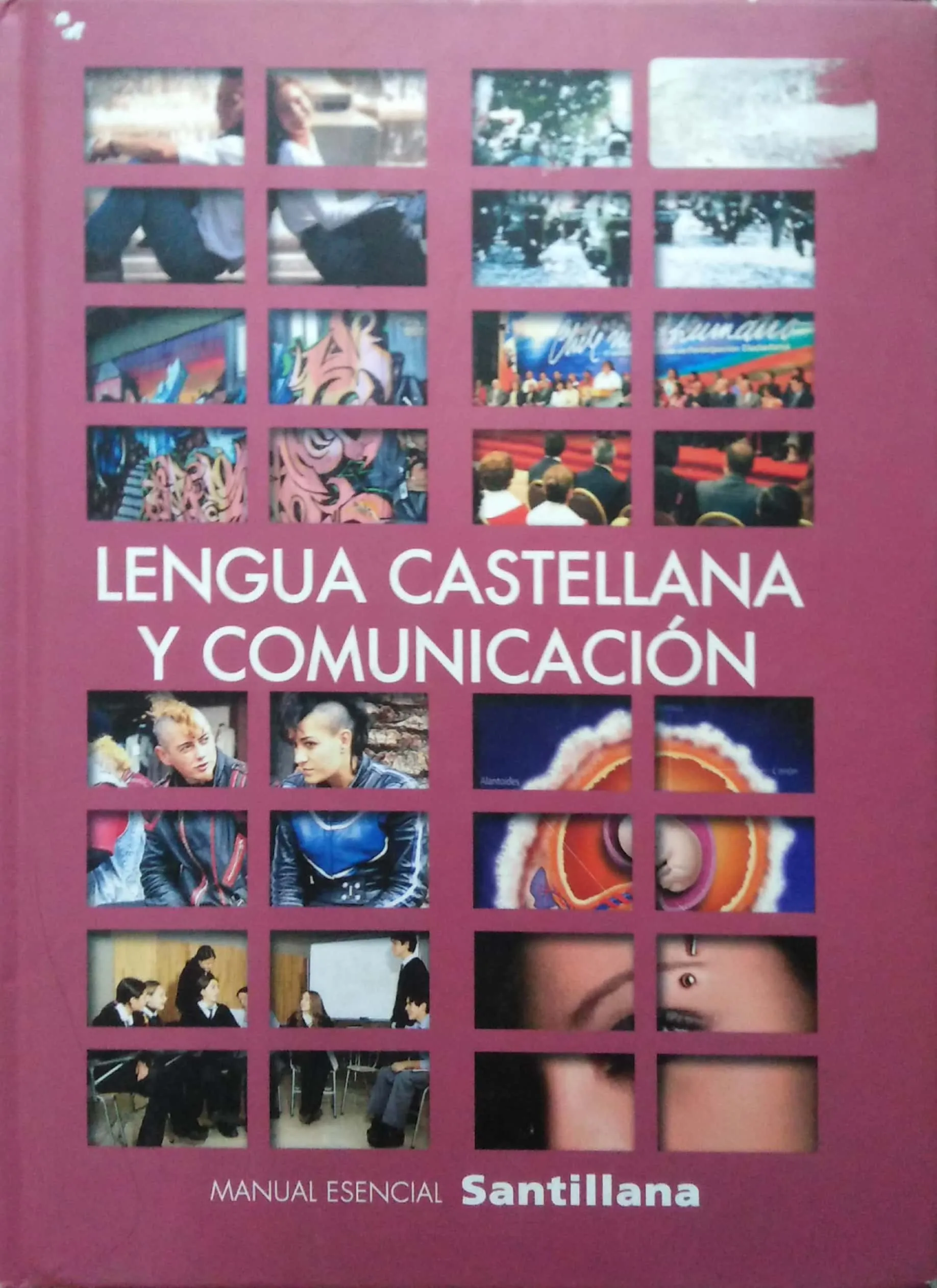 Lengua castellana y comunicación