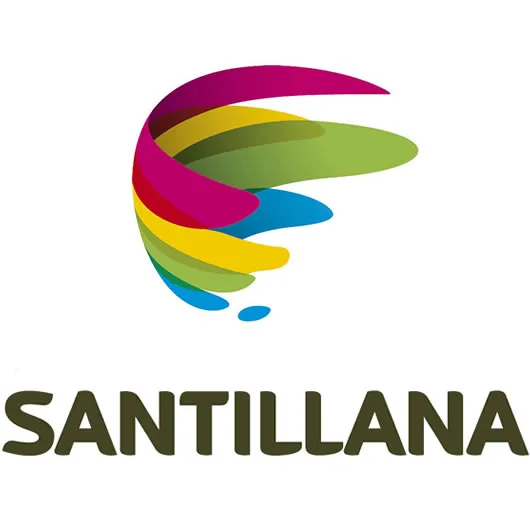 Test Santillana Lenguaje y comunicaión 6° Básico SIMCE cover